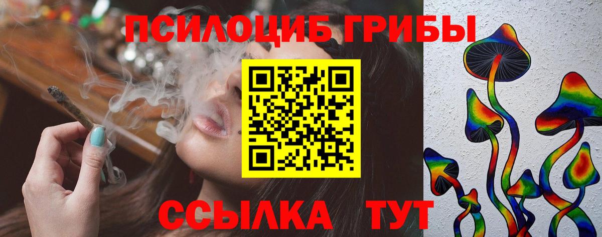 Галлюциногенные грибы Psilocybe Киржач
