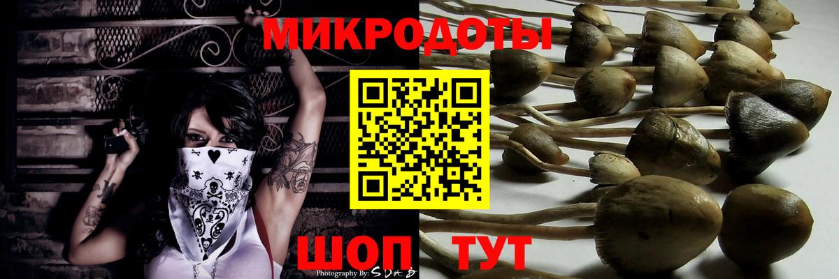 Киржач  Псилоцибиновые грибы Psilocybine cubensis  где можно купить наркотик  Вход с VPN 